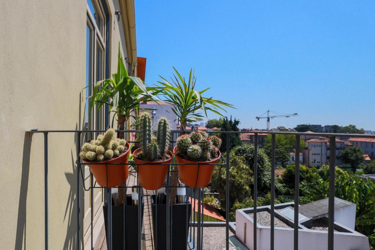 Cedofeita Charming Flat Lägenhet OOporto Exteriör bild